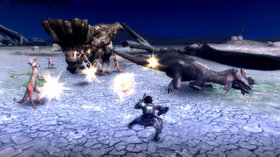 Monster Hunter Tri Screenshot from Shacknews