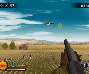 Remington Great American Bird Hunt Chat