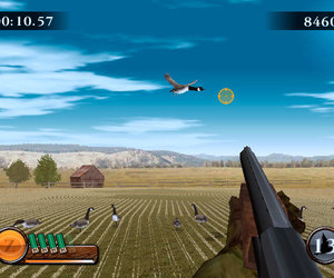 Remington Great American Bird Hunt Videos