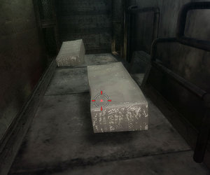 Resident Evil: The Darkside Chronicles Chat