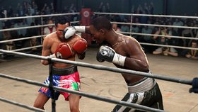 Fight Night Round 4 Screenshot from Shacknews