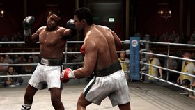 Fight Night Round 4 Screenshot from Shacknews