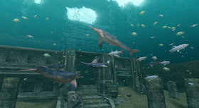 Endless Ocean: Blue World Screenshot from Shacknews
