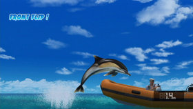 Endless Ocean: Blue World Screenshot from Shacknews