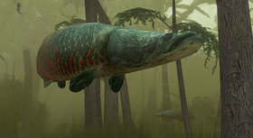 Endless Ocean: Blue World Screenshot from Shacknews