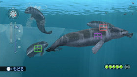 Endless Ocean: Blue World Screenshot from Shacknews
