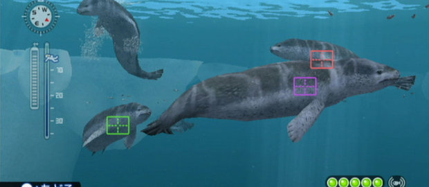 Endless Ocean: Blue World News