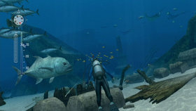 Endless Ocean: Blue World Screenshot from Shacknews