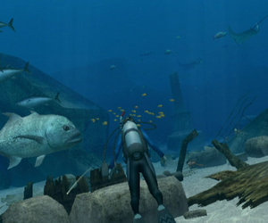 Endless Ocean: Blue World Files