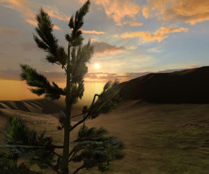 Overgrowth Videos
