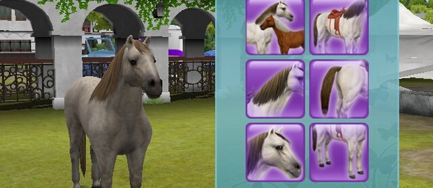 Pony Friends 2 News