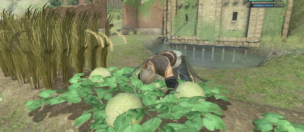 NIER News