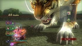 Dynasty Warriors: Strikeforce Screenshot from Shacknews