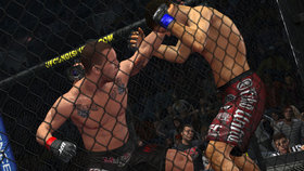 UFC Undisputed 2010 Screenshot from Shacknews