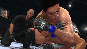 UFC Undisputed 2010 Screenshot from Shacknews