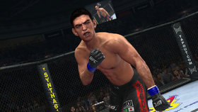 UFC Undisputed 2010 Screenshot from Shacknews