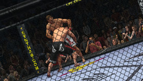 UFC Undisputed 2010 Screenshot from Shacknews