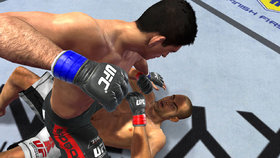 UFC Undisputed 2010 Screenshot from Shacknews