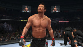 UFC Undisputed 2010 Screenshot from Shacknews