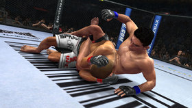 UFC Undisputed 2010 Screenshot from Shacknews