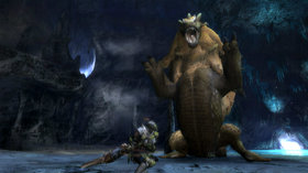 Monster Hunter Tri Screenshot from Shacknews