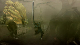 Monster Hunter Tri Screenshot from Shacknews