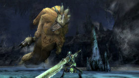 Monster Hunter Tri Screenshot from Shacknews