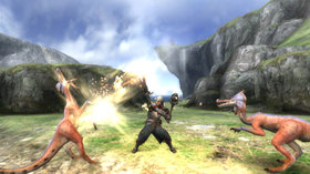 Monster Hunter Tri Screenshot from Shacknews