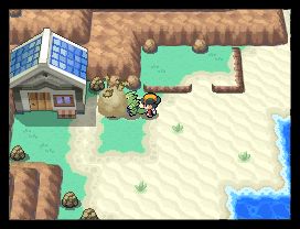 Pokemon HeartGold Files