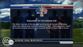 Tiger Woods PGA Tour 11 Screenshot from Shacknews