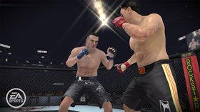 EA Sports MMA Screenshot from Shacknews