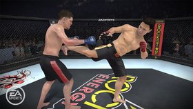 EA Sports MMA Screenshot from Shacknews