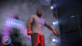 EA Sports MMA Screenshot from Shacknews