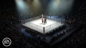 EA Sports MMA Screenshot from Shacknews