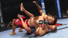 UFC Undisputed 2010 Screenshot from Shacknews