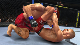 UFC Undisputed 2010 Screenshot from Shacknews