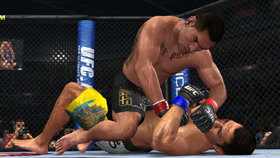 UFC Undisputed 2010 Screenshot from Shacknews