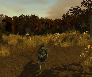 Bass Pro Shops: The Hunt Screenshots