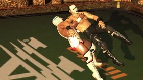 Lucha Libre AAA Heroes del Ring Screenshot from Shacknews