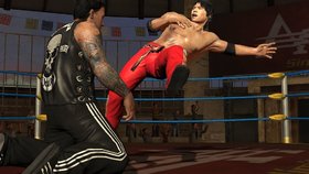 Lucha Libre AAA Heroes del Ring Screenshot from Shacknews