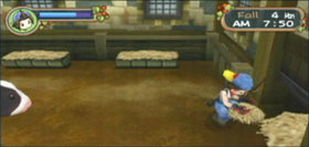 Harvest Moon: Hero of Leaf Valley Screenshot from Shacknews