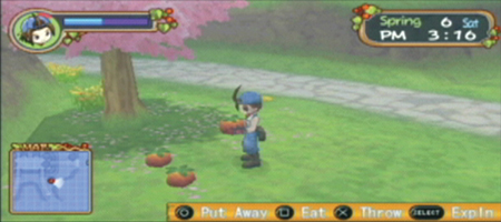 Harvest Moon: Hero of Leaf Valley Files