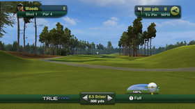Tiger Woods PGA Tour 11 Screenshot from Shacknews