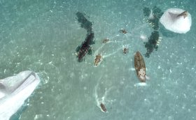 Naval Warfare Screenshot from Shacknews