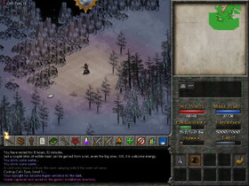 Eschalon Book II Screenshot from Shacknews
