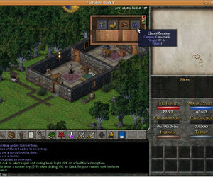 Eschalon: Book II Files