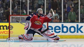 NHL 11 Screenshot from Shacknews