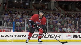 NHL 11 Screenshot from Shacknews