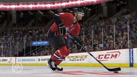 NHL 11 Screenshot from Shacknews