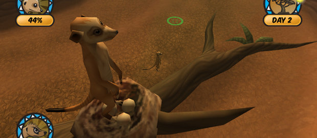 Lead the Meerkats News